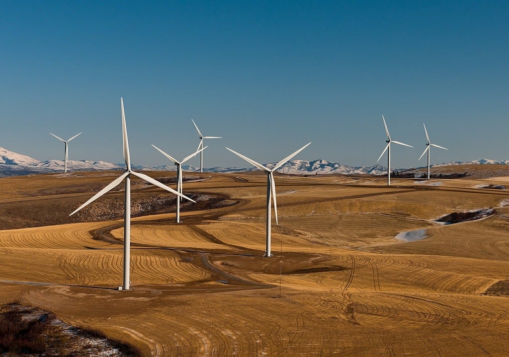 Building a Sustainable Green Workforce in Texas: How Collaboration is Key